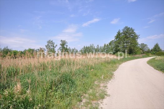 Działka komercyjna na sprzedaż Zębice 2 846m2 Foto 5