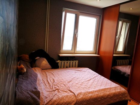 Mieszkanie trzypokojowe na sprzedaż Opole, Opole, Fieldorfa 74m2 Foto 5