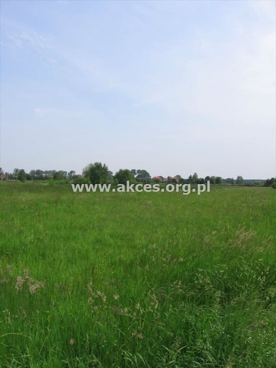 Działka budowlana na sprzedaż Nowe Racibory 1 117m2 Foto 4