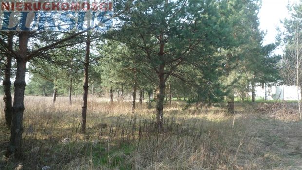 Działka budowlana na sprzedaż Łoś, Łoś, Gandalfa 1 100m2 Foto 3