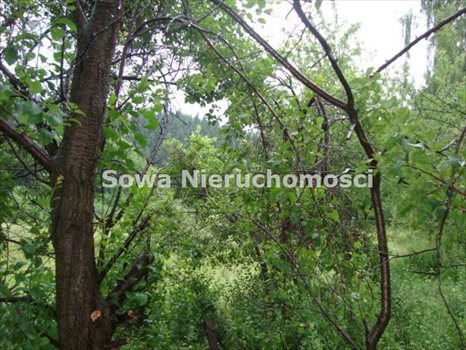 Działka inna na sprzedaż Wałbrzych, Gaj 2 900m2 Foto 2
