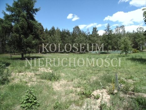 Działka budowlana na sprzedaż Bartoszylas, Stara Kiszewa, Kaszuby, Kościerzyna 35 500m2 Foto 2
