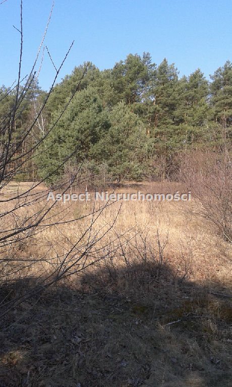 Działka inna na sprzedaż Sędeń Duży 2 600m2 Foto 3