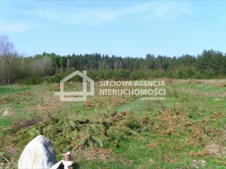 Działka budowlana na sprzedaż Sitno 3 005m2 Foto 5