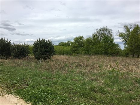 Działka budowlana na sprzedaż Kobylanka 973m2 Foto 2