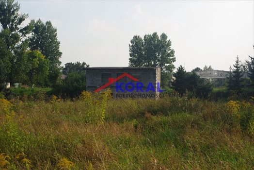 Działka budowlana na sprzedaż Tarnowskie Góry, Sowice, Korczaka 3 988m2 Foto 9