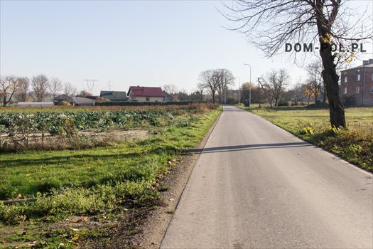 Działka inna na sprzedaż Majdan Krasieniński 3 000m2 Foto 3