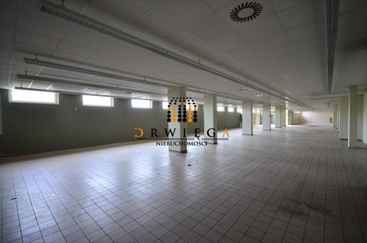 Lokal użytkowy na wynajem Gorzów Wielkopolski, Górczyn 985m2 Foto 3