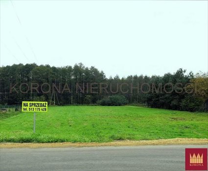 Działka budowlana na sprzedaż Rybnik 3 990m2 Foto 1