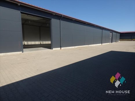 Lokal użytkowy na wynajem Dorotowo 800m2 Foto 4