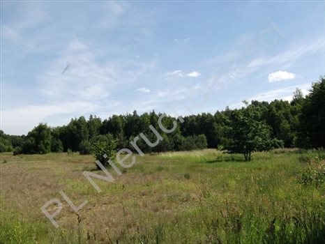 Działka budowlana na sprzedaż Książenice 1 600m2 Foto 4