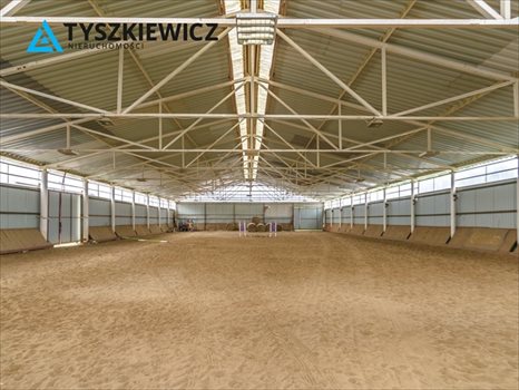 Działka inna pod dzierżawę Boroszewo 38 971m2 Foto 11