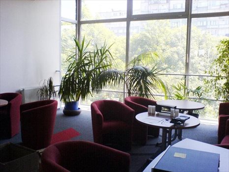 Lokal użytkowy na sprzedaż Łódź, Polesie 760m2 Foto 7