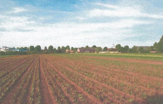 Działka rolna na sprzedaż Wielka Wieś 30 801m2 Foto 3