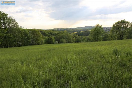 Działka budowlana na sprzedaż Mogilany 2 400m2 Foto 5