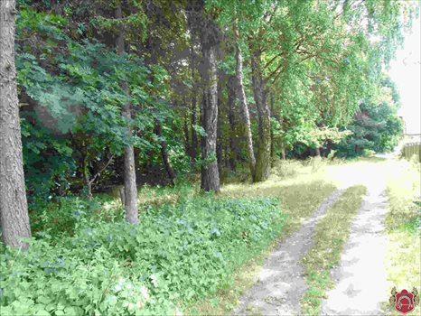 Działka budowlana na sprzedaż Gdynia, Okrężna 552m2 Foto 4