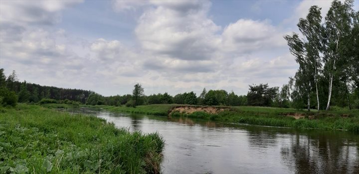 Działka budowlana na sprzedaż Starowola 2 082m2 Foto 3