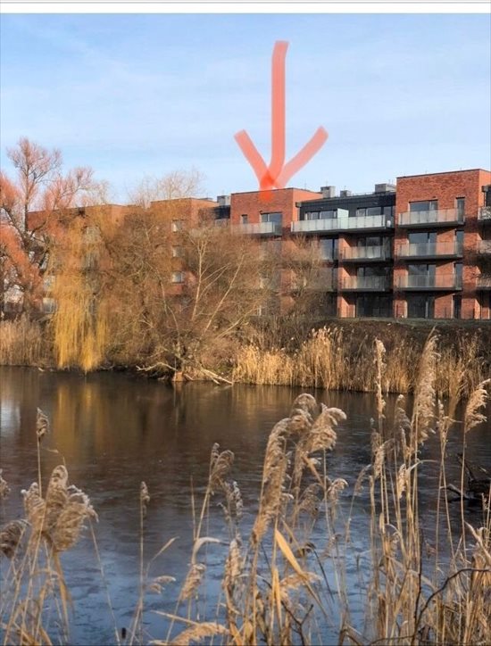 Mieszkanie dwupokojowe na sprzedaż Poznań, Grunwald, Ceglana 46m2 Foto 1