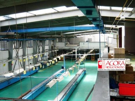Lokal użytkowy na wynajem Nowy Targ 2 000m2 Foto 7