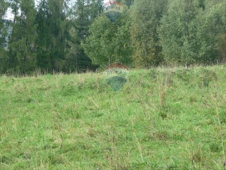 Działka budowlana na sprzedaż Rabka-Zdrój 5 650m2 Foto 9