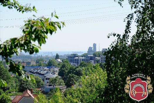 Działka budowlana na sprzedaż Gdynia, Leszczynki 1 444m2 Foto 6