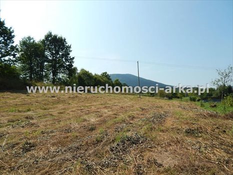 Działka budowlana na sprzedaż Dobra 1 500m2 Foto 4