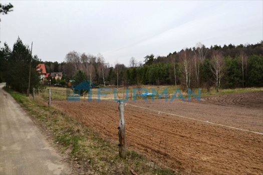 Działka budowlana na sprzedaż Dobrzyca 1 043m2 Foto 3