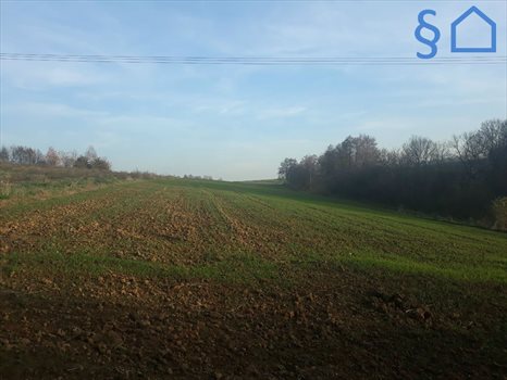 Działka budowlana na sprzedaż Sułkowice 900m2 Foto 12