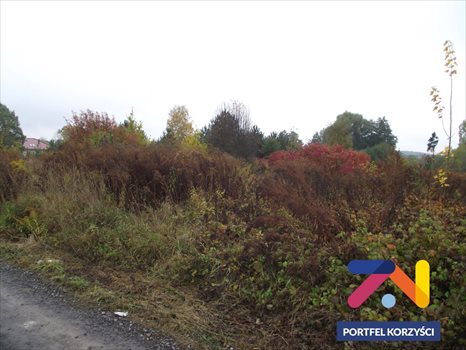 Działka budowlana na sprzedaż Droszków 1 300m2 Foto 2