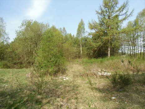 Działka budowlana na sprzedaż Gdynia, Dąbrowa, Leśna Polana 686m2 Foto 2