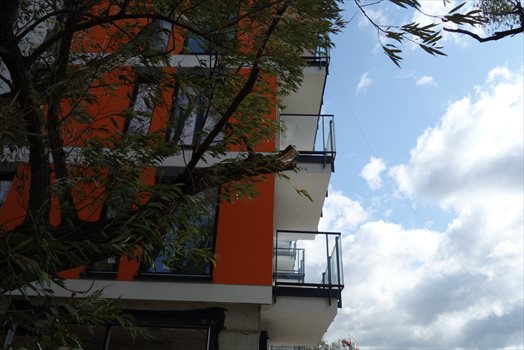 Lokal użytkowy na wynajem Warszawa, Ursynów 116m2 Foto 3
