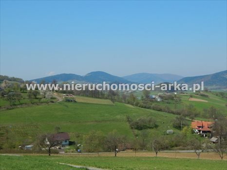 Działka budowlana na sprzedaż Dobra 4 600m2 Foto 3