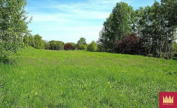 Działka komercyjna na sprzedaż Rybnik 11 783m2 Foto 4