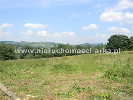 Działka budowlana na sprzedaż Dobra 2 500m2 Foto 2