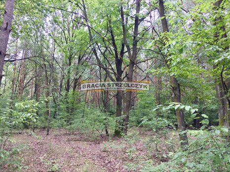 Działka budowlana na sprzedaż Owczarnia 7 042m2 Foto 3