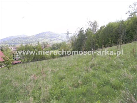 Działka budowlana na sprzedaż Limanowa 5 500m2 Foto 5