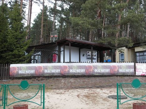 Dom na sprzedaż Osiny 60m2 Foto 4