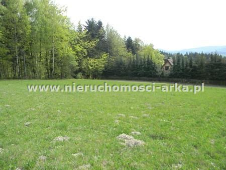 Działka budowlana na sprzedaż Pisarzowa 2 100m2 Foto 6
