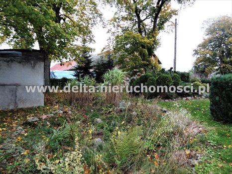 Dom na sprzedaż Zagórki, Zbyszewo 52m2 Foto 8