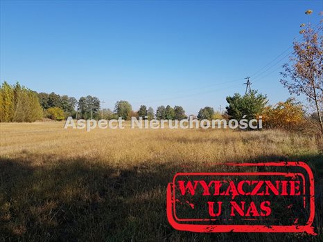 Działka budowlana na sprzedaż Płock, Góry 1 310m2 Foto 3