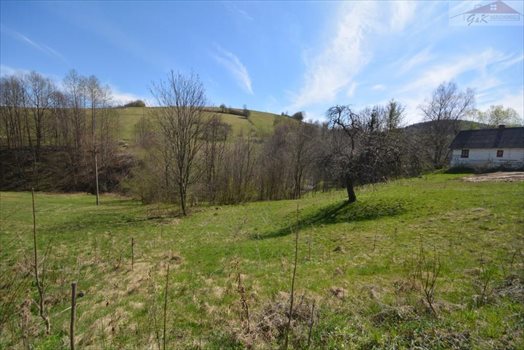 Działka rekreacyjna na sprzedaż Hołuczków 800m2 Foto 2