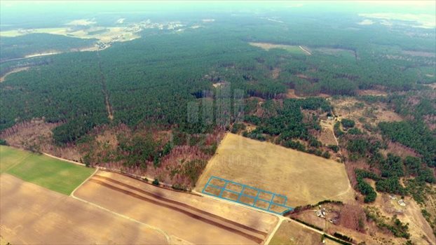 Działka inna na sprzedaż Lipy, Jezioro, Las, Tereny rekreacyjne 1 293m2 Foto 2