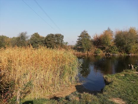 Działka inna na sprzedaż Kiełpin Poduchowny 10 023m2 Foto 2