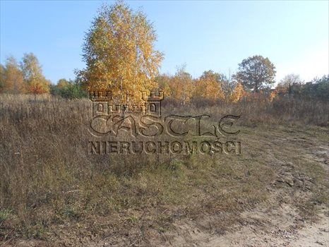Działka budowlana na sprzedaż Poznań, Morasko, Jaśkowiaka 1 260m2 Foto 7