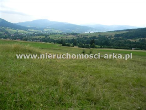Działka budowlana na sprzedaż Dobra 1 700m2 Foto 5