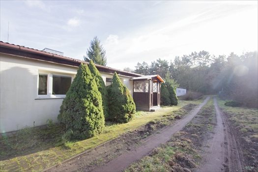 Działka budowlana na sprzedaż Trzeszczyn 14 785m2 Foto 6