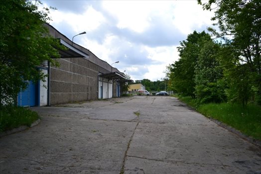 Lokal użytkowy na wynajem Inowrocław, Marcinkowskiego 121 864m2 Foto 10