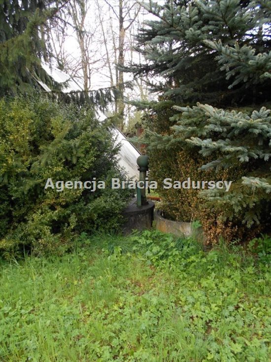 Działka rolna na sprzedaż Januszowice 2 800m2 Foto 12