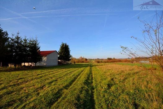 Działka budowlana na sprzedaż Ostrów 2 565m2 Foto 5