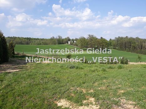 Działka inna na sprzedaż Jastrzębie-Zdrój, Ruptawa 980m2 Foto 1
